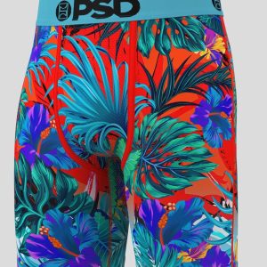 Alternative view of 6 Pack - Tropics