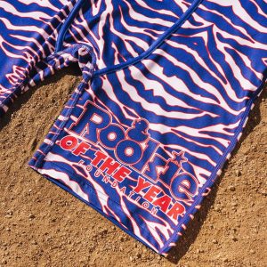 Alternative view of Rookie of the Year