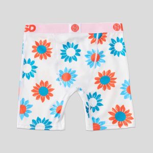 Alternative view of Fall Daisies