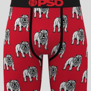 Alternative view of Go Dawgs